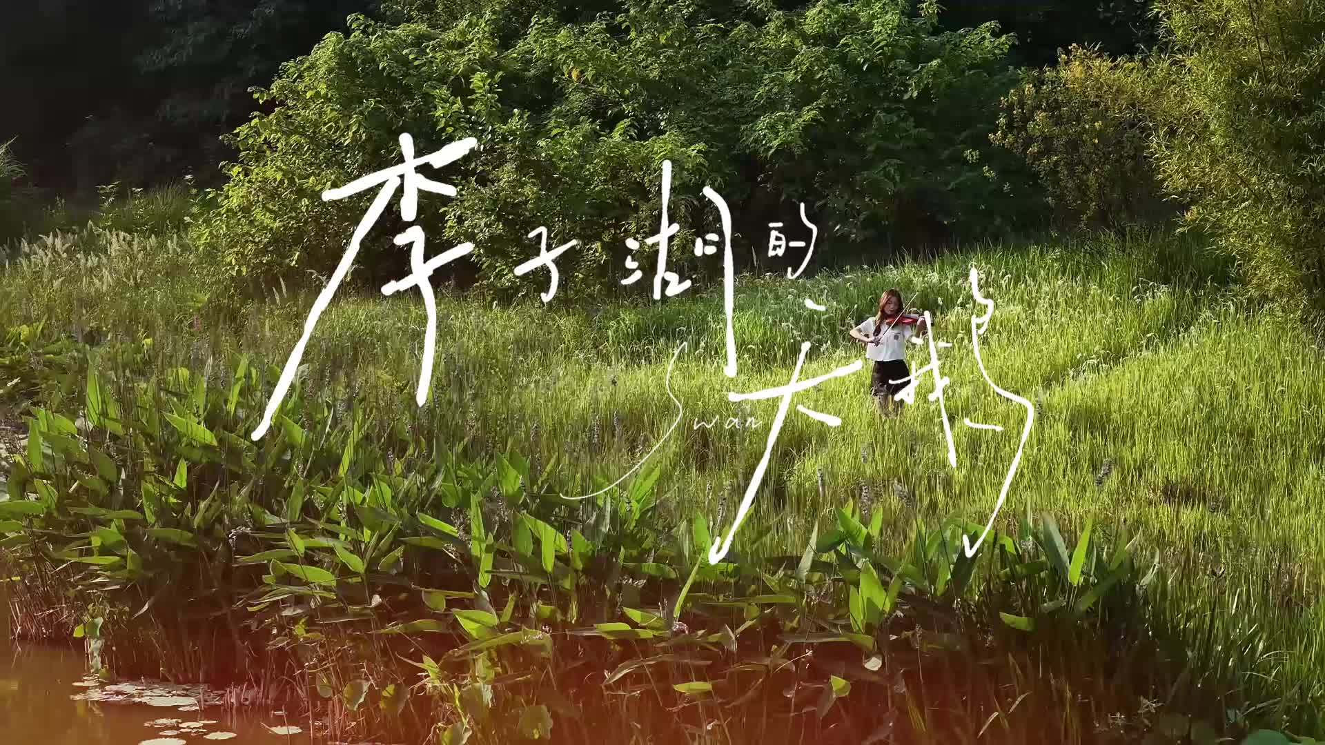 2026届毕业MV《李子湖的天鹅》温情上线🦢🦢🍃🍃
