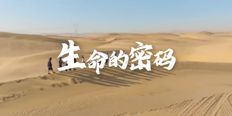 《生命的密码》MV正式发布